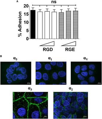 Engagement of α3β1 and α2β1 integrins by hypervirulent Streptococcus agalactiae in invasion of polarized enterocytes